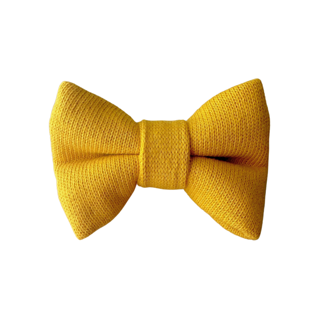 Trendy, stylish, reversible, pumpkin
pets, Furry Friend, fashionable, 
fashion, dog collar, dog, confort, Bow, Bow Tie