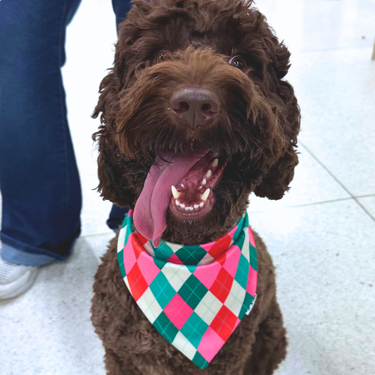 RETRO DOG BANDANA *Limited Edition*