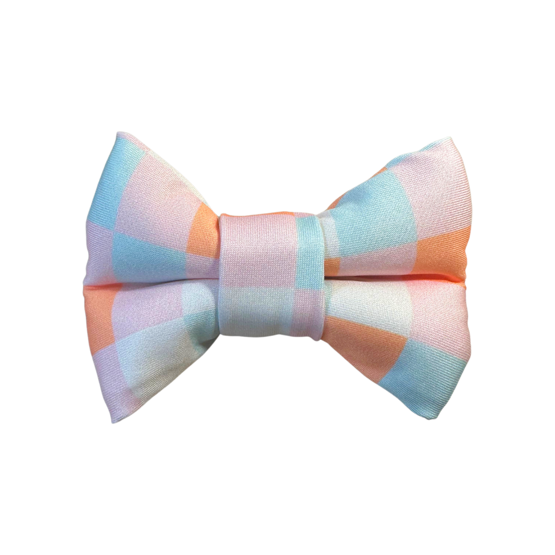 Trendy, stylish, reversible, pumpkin
pets, Furry Friend, fashionable, 
fashion, dog collar, dog, confort, Bow, Bow Tie