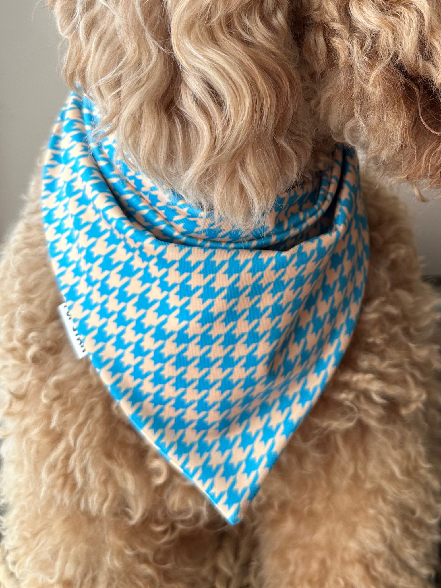 TURQUOISE DOG BANDANA