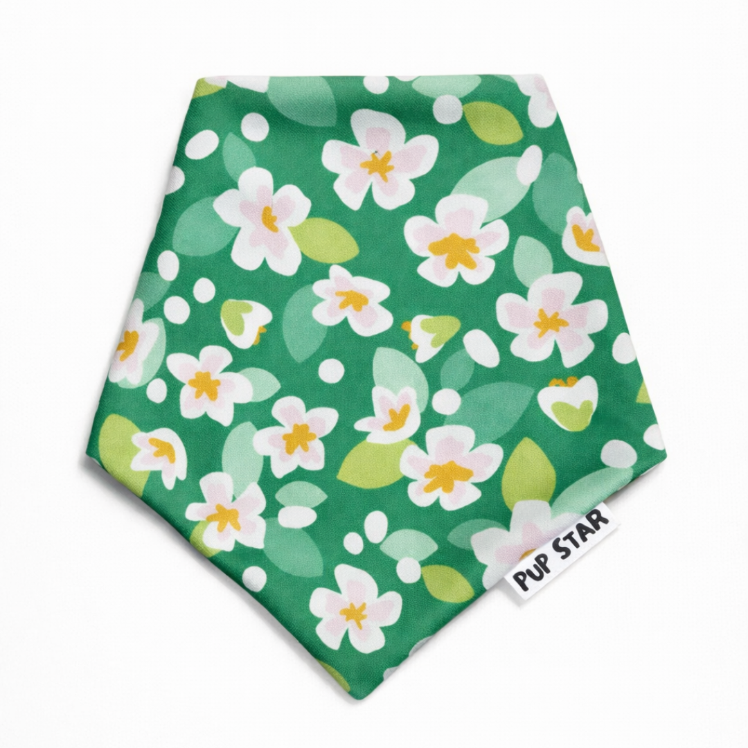 Spring Bloom