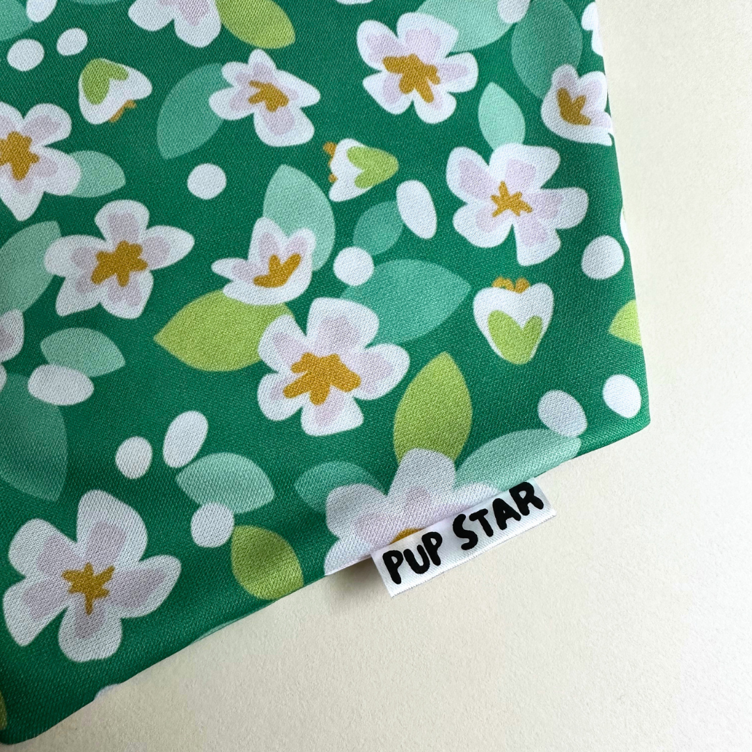 Spring Bloom